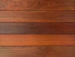 brazilian cherry